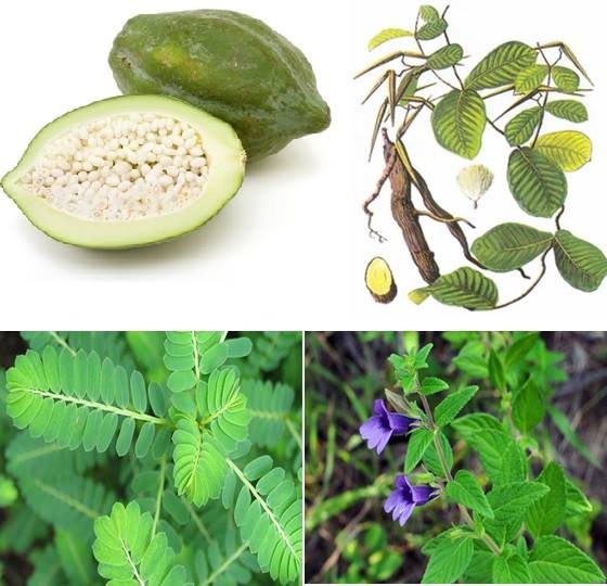 Lương y Đặng Thị Kim Ánh - Bài thuốc đông y chăm sóc các vấn đề của phụ nữ sau khi sinh